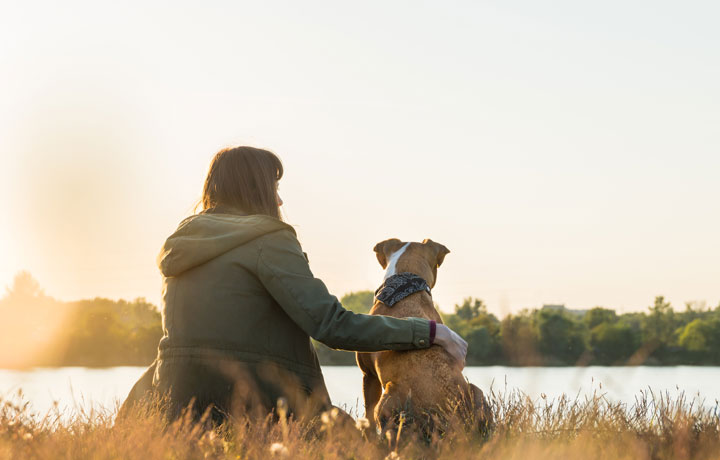 relationships with dogs